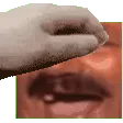 petthekekw