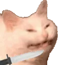 aq_cattostabbing aq_cattostabbing