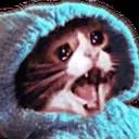 An_SaberCry Discord Emoji