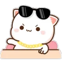 catdon