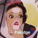 pakidge