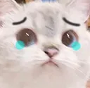sad sad