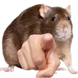 RatU