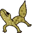 VibeLizard
