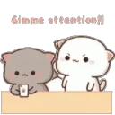 cat_fed_up