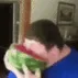 a_watermelondive