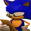 Sonic_Check Sonic_Check