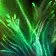 lifebloom