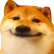dogKaef
