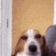 brutl_naughtydog