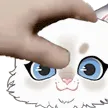pet_apollo pet_apollo