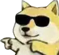 dogcool