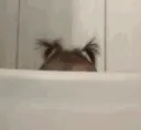 peek peek
