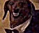 conkcreetbaybee