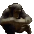 Monke Monke