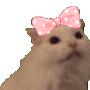 aaagirlXP Discord emoji