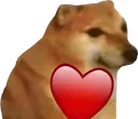 Cheemslove