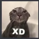 xdso