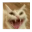 wheezecat