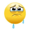 EMcry