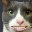 acescatsmile