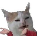 yeDekho Discord emoji