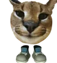 thishowitflops