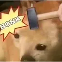 Bonk