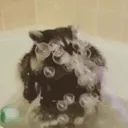 TPbubbles
