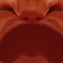 Cat Pain Discord Emoji