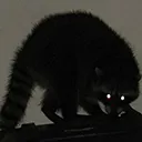 TPspook
