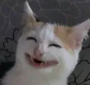 HEHEHEH