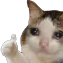 cat_cry_ok cat_cry_ok