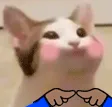 peepoShanya