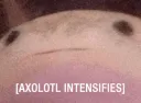 axololarara