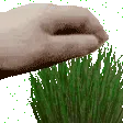 touchgrass