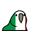 2169_italyparrot