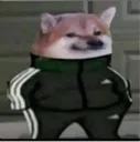 dripdog