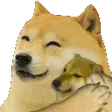 rubanHug