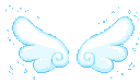 b_wing2