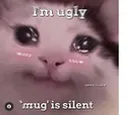 Lc_cat_ily
