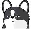 2155corgiwtf2 Discord emoji