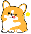 6326corgiwink Discord emoji
