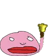 pajaDink