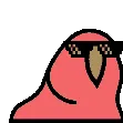 jooj
