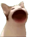 pop
