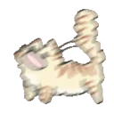 CATSCREEEEEM