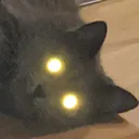 hyperCatto