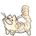 CATSPEEEEEN CATSPEEEEEN