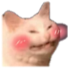 blushykat Discord emoji